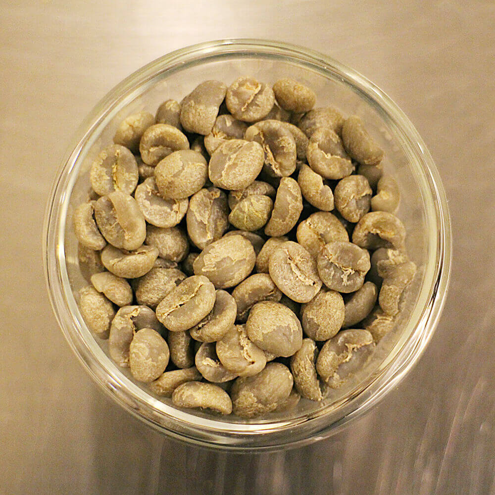 グアテマラ・サンタクララ・レッドハニーの生豆